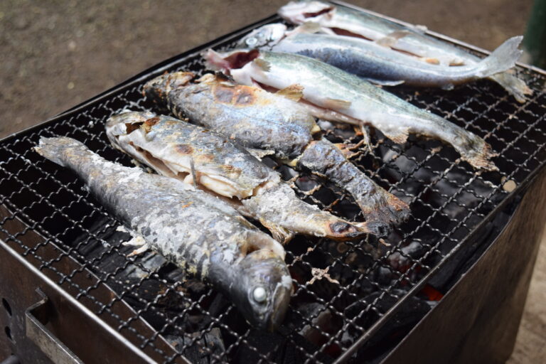 箱根畑宿清流マス釣場で一歳の娘と魚を釣りまくり自然と戯れまくり！